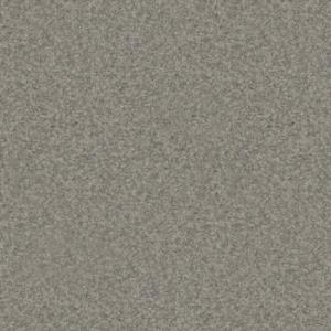 Линолеум Profi Premium Nevada 2_9001 шир.3,0м